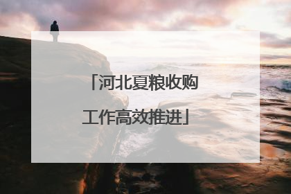 河北夏粮收购工作高效推进