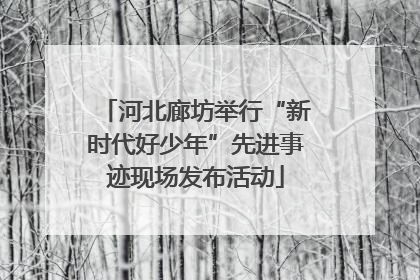 河北廊坊举行“新时代好少年”先进事迹现场发布活动