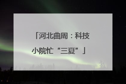 河北曲周：科技小院忙“三夏”