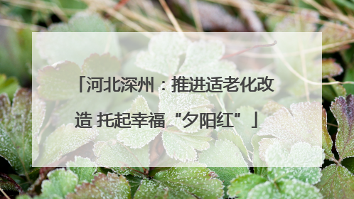河北深州：推进适老化改造 托起幸福“夕阳红”