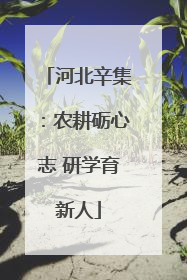 河北辛集：农耕砺心志 研学育新人