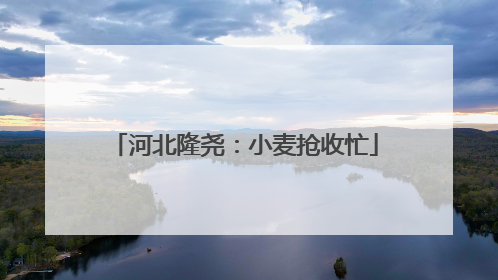 河北隆尧：小麦抢收忙