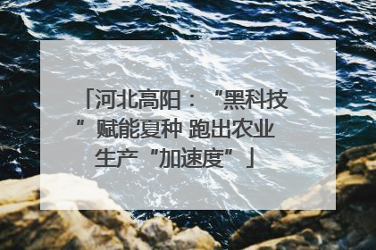 河北高阳：“黑科技”赋能夏种 跑出农业生产“加速度”