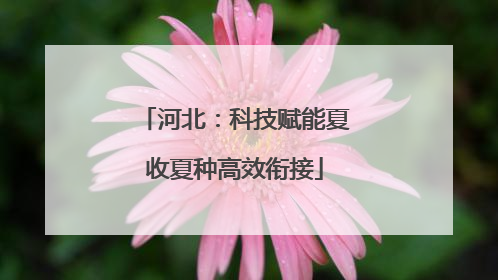 河北：科技赋能夏收夏种高效衔接