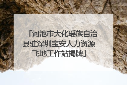 河池市大化瑶族自治县驻深圳宝安人力资源飞地工作站揭牌