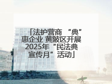 法护营商 “典”惠企业 黄陂区开展2025年“民法典宣传月”活动