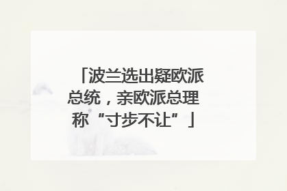 波兰选出疑欧派总统，亲欧派总理称“寸步不让”