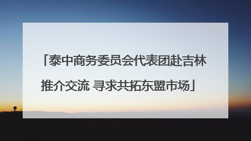 泰中商务委员会代表团赴吉林推介交流 寻求共拓东盟市场