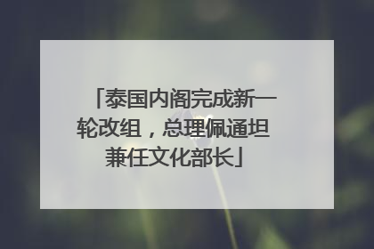泰国内阁完成新一轮改组，总理佩通坦兼任文化部长