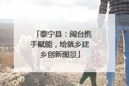 泰宁县：闽台携手赋能，绘就乡建乡创新图景