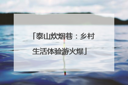 泰山炊烟巷：乡村生活体验游火爆