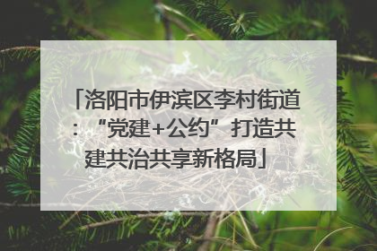 洛阳市伊滨区李村街道：“党建+公约”打造共建共治共享新格局