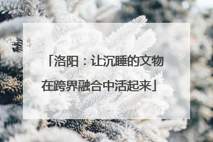 洛阳：让沉睡的文物在跨界融合中活起来