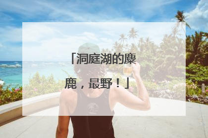 洞庭湖的麋鹿，最野！