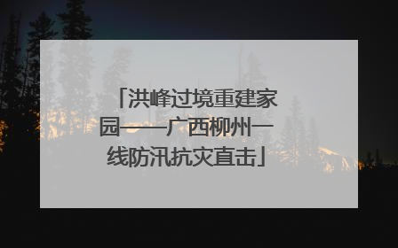 洪峰过境重建家园——广西柳州一线防汛抗灾直击