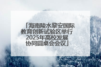 海南陵水黎安国际教育创新试验区举行2025年高校发展协同圆桌会会议