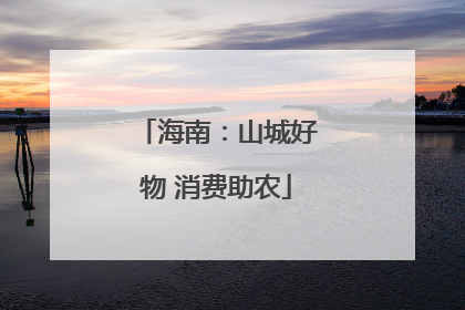 海南：山城好物 消费助农