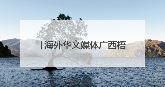 海外华文媒体广西梧州品六堡 探寻千年茶香里的“乡愁味”