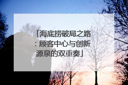 海底捞破局之路：顾客中心与创新源泉的双重奏