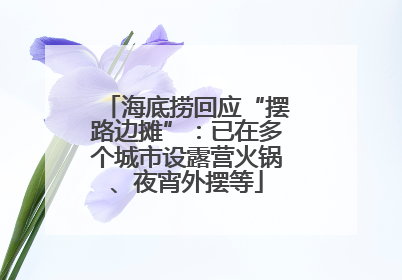海底捞回应“摆路边摊”：已在多个城市设露营火锅、夜宵外摆等