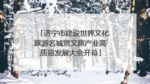 济宁市建设世界文化旅游名城暨文旅产业高质量发展大会开幕