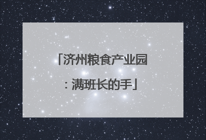 济州粮食产业园：满班长的手