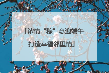 浓情“粽”意迎端午 打造幸福邻里情