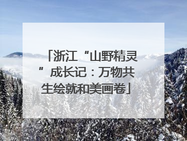 浙江“山野精灵”成长记：万物共生绘就和美画卷