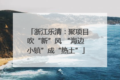 浙江乐清：聚项目吹“新”风 “海边小镇”成“热土”