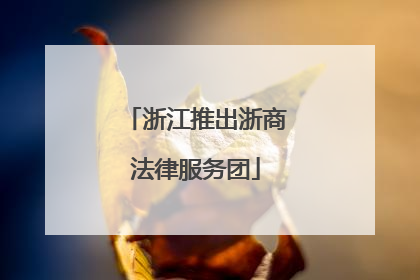 浙江推出浙商法律服务团