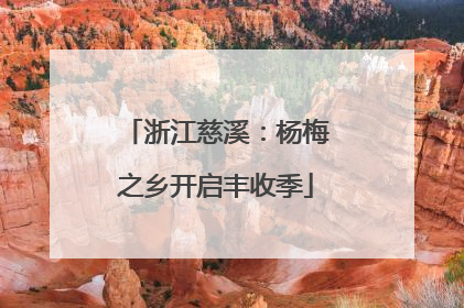 浙江慈溪：杨梅之乡开启丰收季