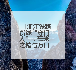 浙江铁路货线“守门人”：毫米之精与万日之安