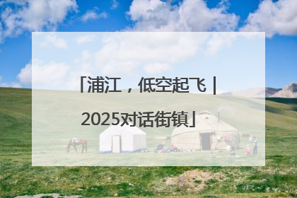 浦江，低空起飞｜2025对话街镇