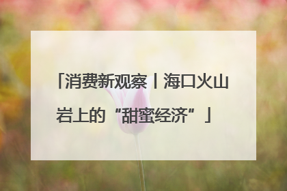 消费新观察丨海口火山岩上的“甜蜜经济”