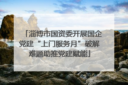淄博市国资委开展国企党建“上门服务月”破解难题助推党建赋能