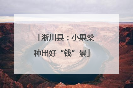 淅川县：小果桑种出好“钱”景