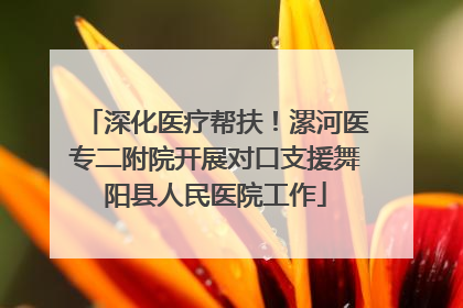 深化医疗帮扶！漯河医专二附院开展对口支援舞阳县人民医院工作