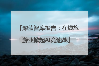 深蓝智库报告：在线旅游业掀起AI竞速战