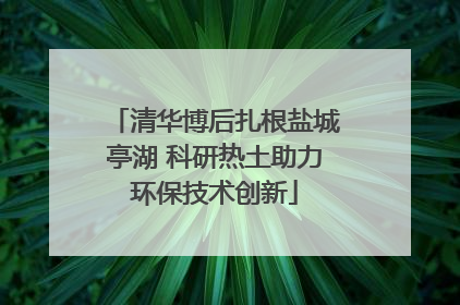 清华博后扎根盐城亭湖 科研热土助力环保技术创新