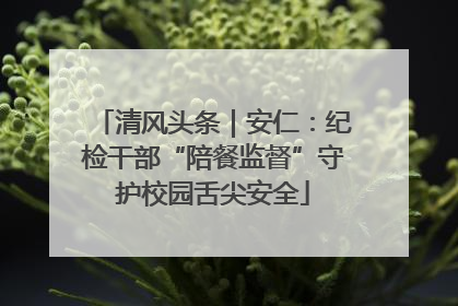 清风头条｜安仁：纪检干部“陪餐监督”守护校园舌尖安全