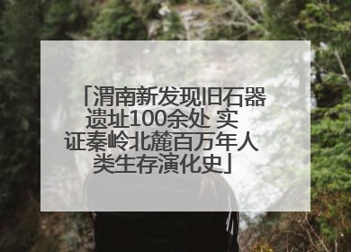 渭南新发现旧石器遗址100余处 实证秦岭北麓百万年人类生存演化史