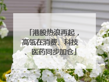 港股热浪再起，高瓴在消费、科技、医药同步加仓