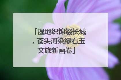 湿地织锦缀长城，苍头河染绿右玉文旅新画卷