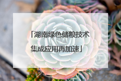 湖南绿色储粮技术集成应用再加速