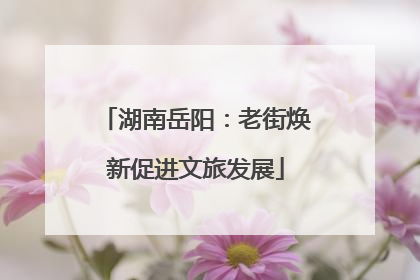 湖南岳阳：老街焕新促进文旅发展