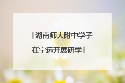 湖南师大附中学子在宁远开展研学