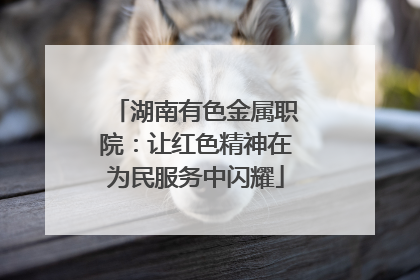 湖南有色金属职院：让红色精神在为民服务中闪耀