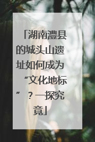 湖南澧县的城头山遗址如何成为“文化地标”？一探究竟