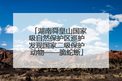 湖南舜皇山国家级自然保护区巡护发现国家二级保护动物——脆蛇蜥