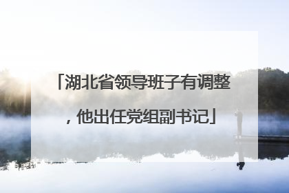 湖北省领导班子有调整，他出任党组副书记